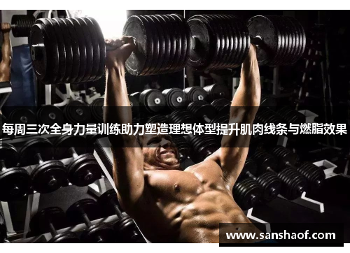 每周三次全身力量训练助力塑造理想体型提升肌肉线条与燃脂效果