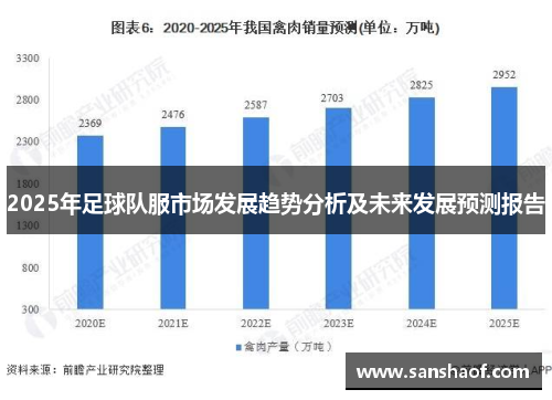2025年足球队服市场发展趋势分析及未来发展预测报告