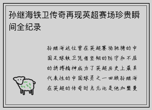 孙继海铁卫传奇再现英超赛场珍贵瞬间全纪录