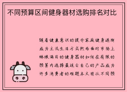 不同预算区间健身器材选购排名对比