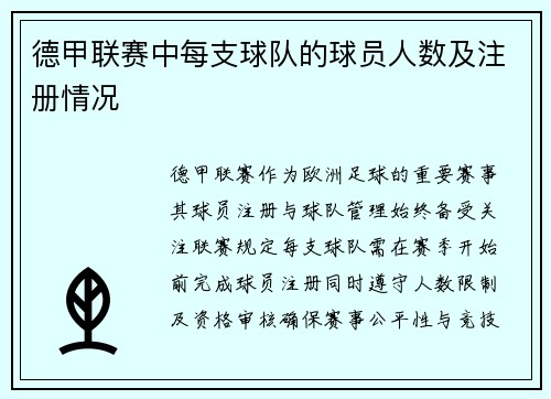 德甲联赛中每支球队的球员人数及注册情况